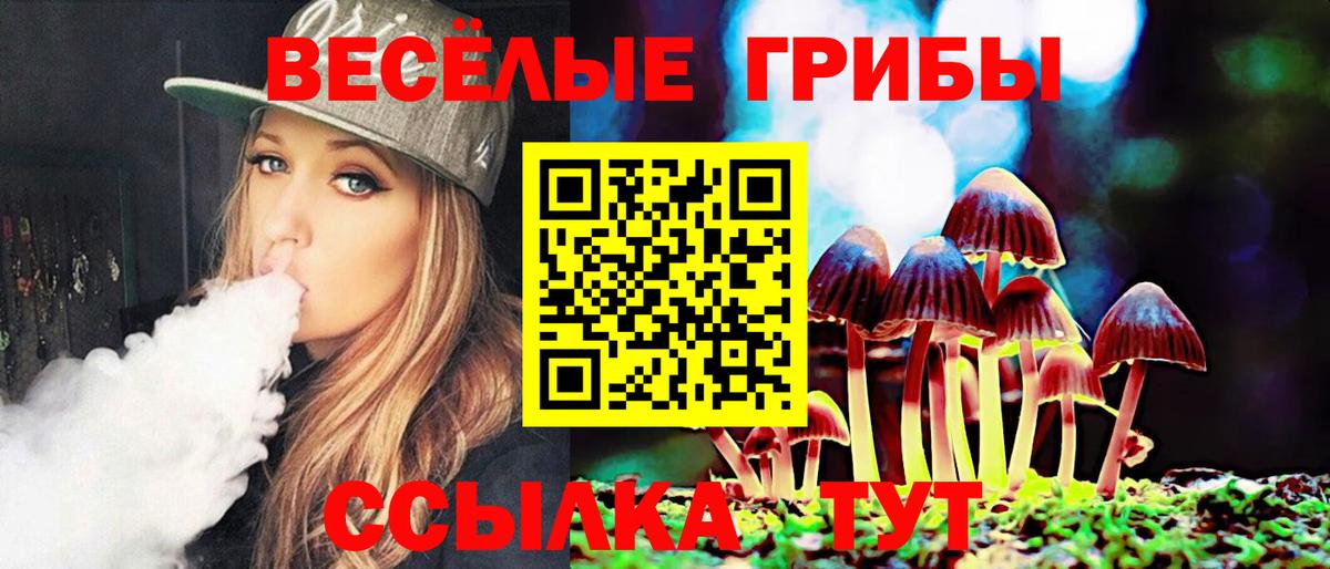 Псилоцибиновые грибы Psilocybe  Вход с VPN  Ярославль 